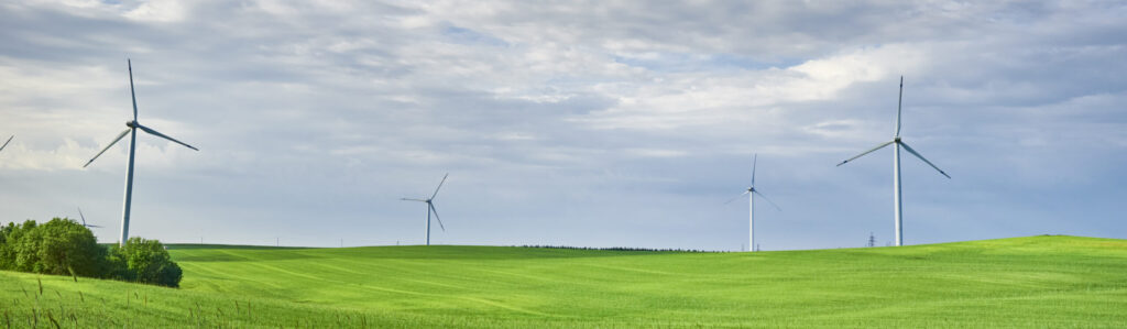 Carbon Credit Markets